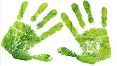 LfS-logo-big-hands-flat