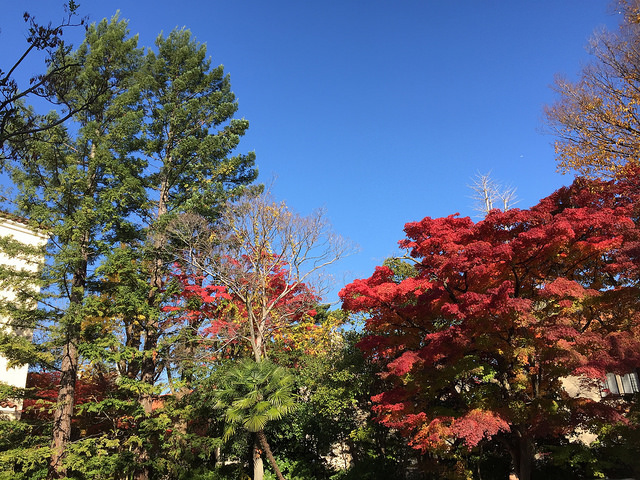 23161175669_97b3b38a0e_z