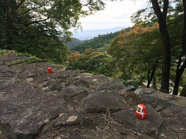 23662497988_de661fbe03_z